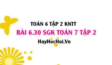Bài 6.30 SGK Toán 7 tập 2 Kết nối tri thức